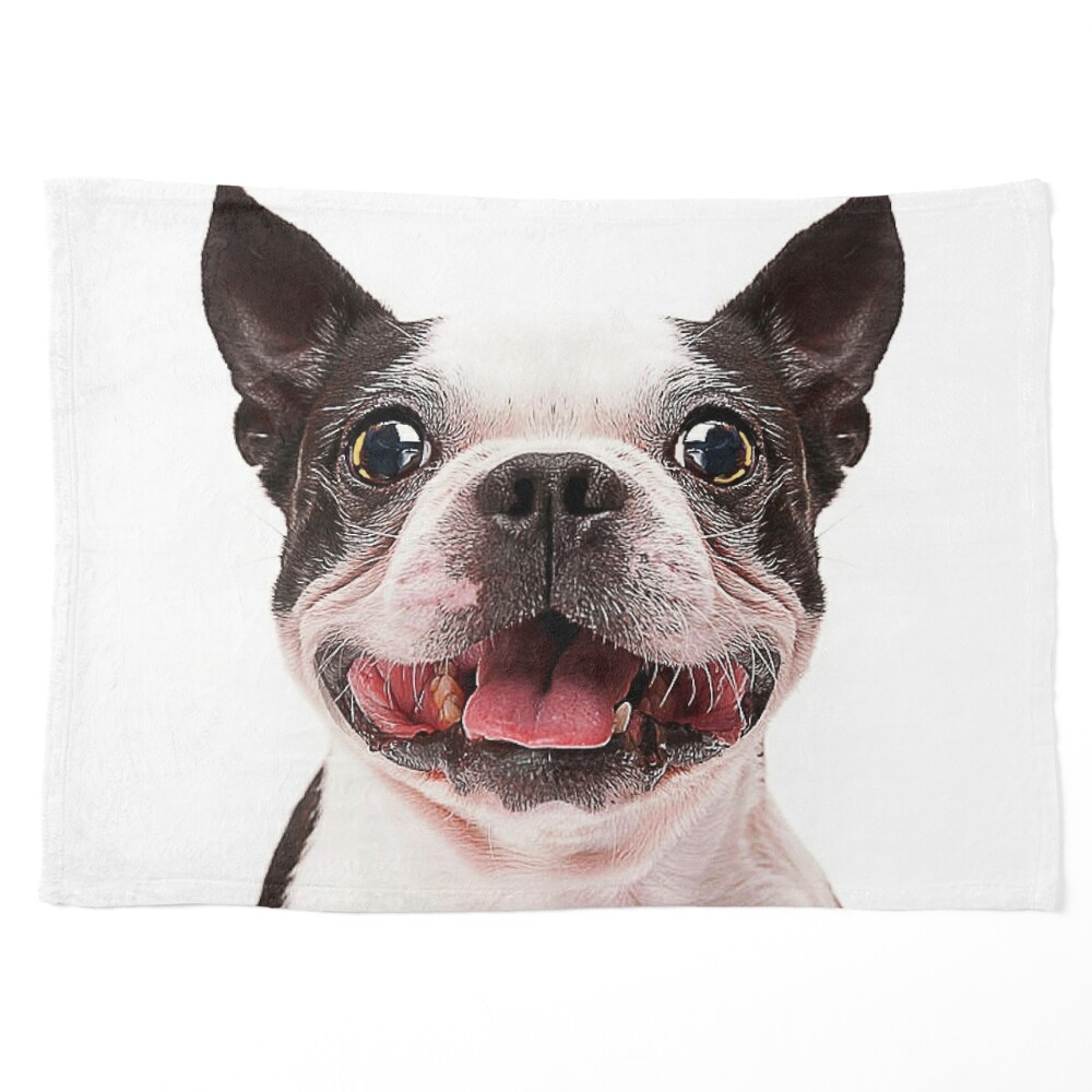 https://ih1.redbubble.net/image.3642876624.8650/ur,pet_blanket_small_flatlay_srp,square,1000x1000.u2.jpg