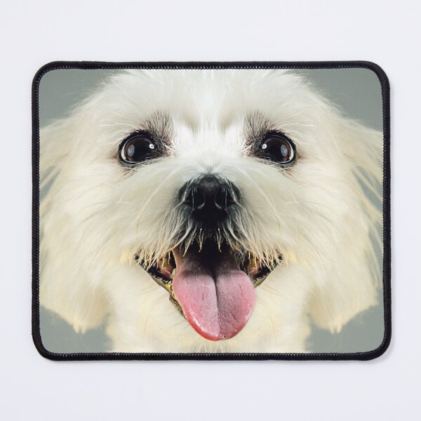 Item preview, Mixed breed White puppy dog showing tongue designed and sold by Dolphin Graphic.