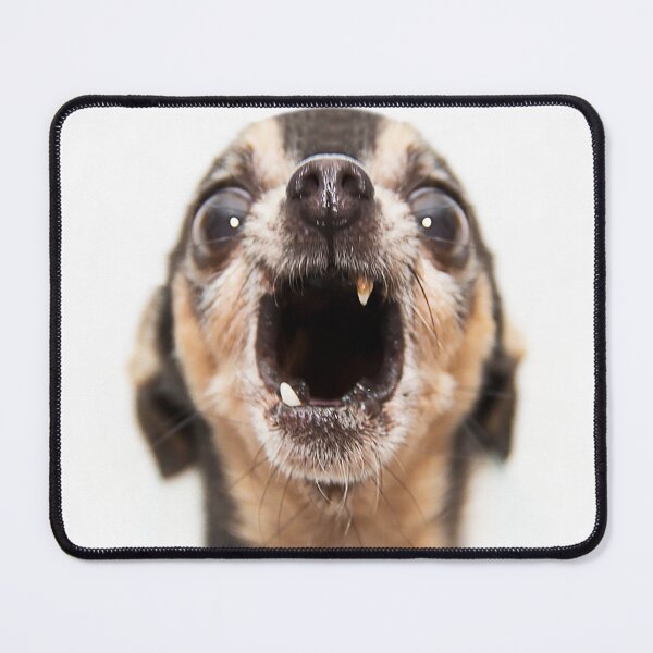 Item preview, Screaming Chihuahua Dog Animals Gifts Safe Face protection covering Men Women designed and sold by Dolphin Graphic.