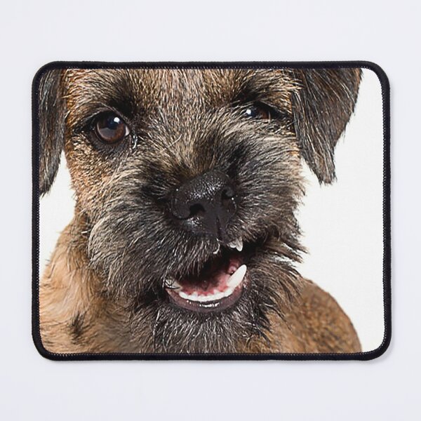 Item preview, Terrier Growling border Animals Gifts Safe Face protection covering Men Women designed and sold by Dolphin Graphic.