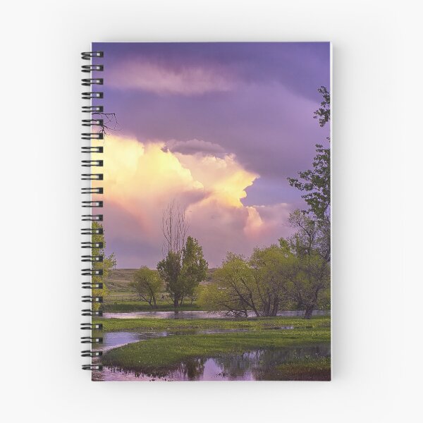Item preview, Spring Flooding designed and sold by johnny gomez.