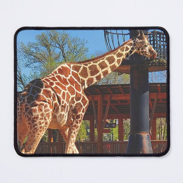 Item preview, Giraffe Eating designed and sold by missmermaid1990.
