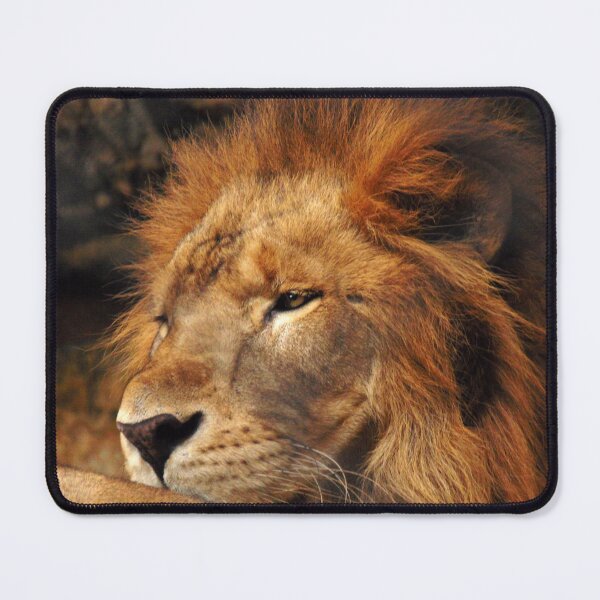 Item preview, pretty lion designed and sold by Valery´s art.