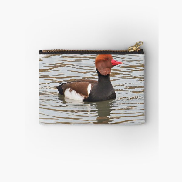 Item preview, "Who's a pretty Boy then?" designed and sold by mrcoradour.