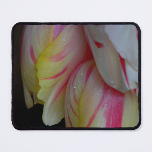 Item preview, Tulip Trio designed and sold by Lozzar Flowers & Art.