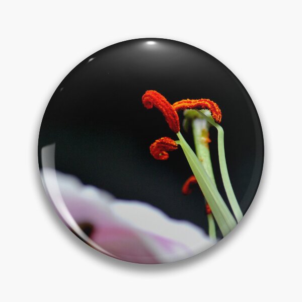 Item preview, Tendrils designed and sold by Lozzar Flowers & Art.
