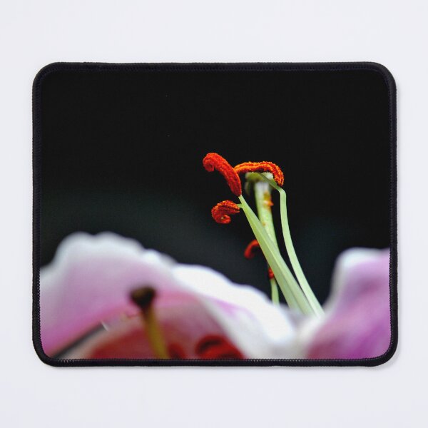 Item preview, Tendrils designed and sold by Lozzar Flowers & Art.