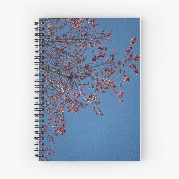 Item preview, Red Kapok Tree designed and sold by piakestore.
