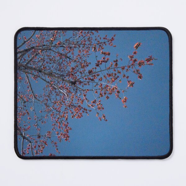Item preview, Red Kapok Tree designed and sold by piakestore.