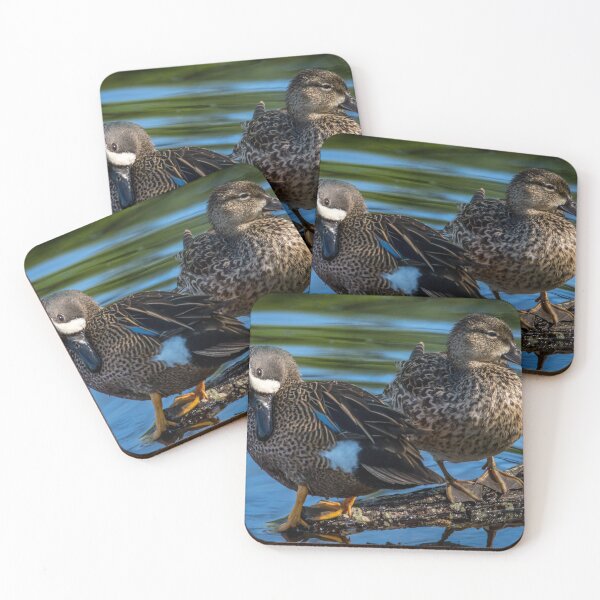 Item preview, Blue-winged Teal Pair - Dabbling Ducks designed and sold by Debra Martz.