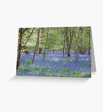 Beautiful bluebells number 3 Greeting Card