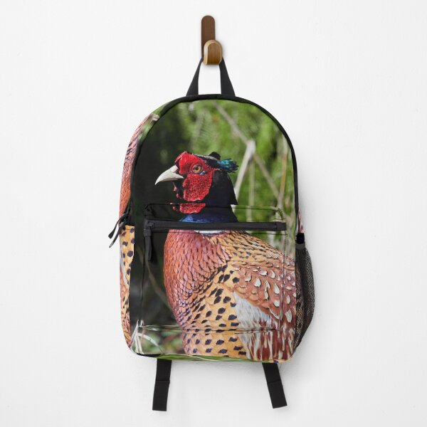 Item preview, The common face. Common pheasant designed and sold by Jouko Lehto Photography.