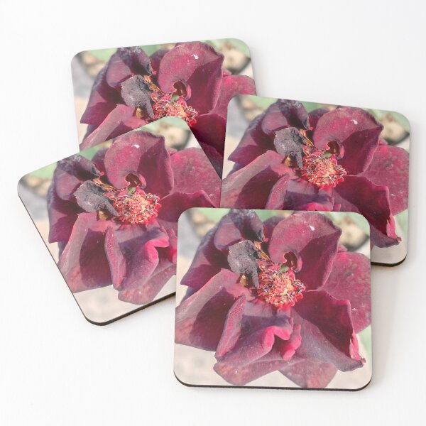 Item preview, real flower texture designed and sold by Abharan.