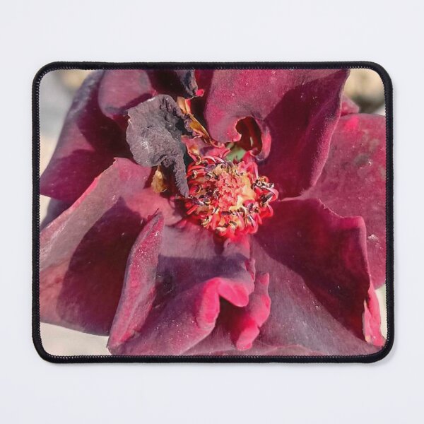 Item preview, real flower texture designed and sold by Abharan.