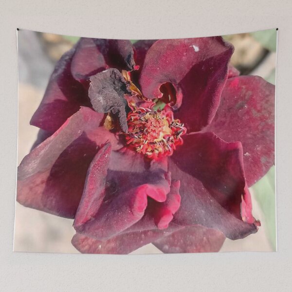 Item preview, real flower texture designed and sold by Abharan.