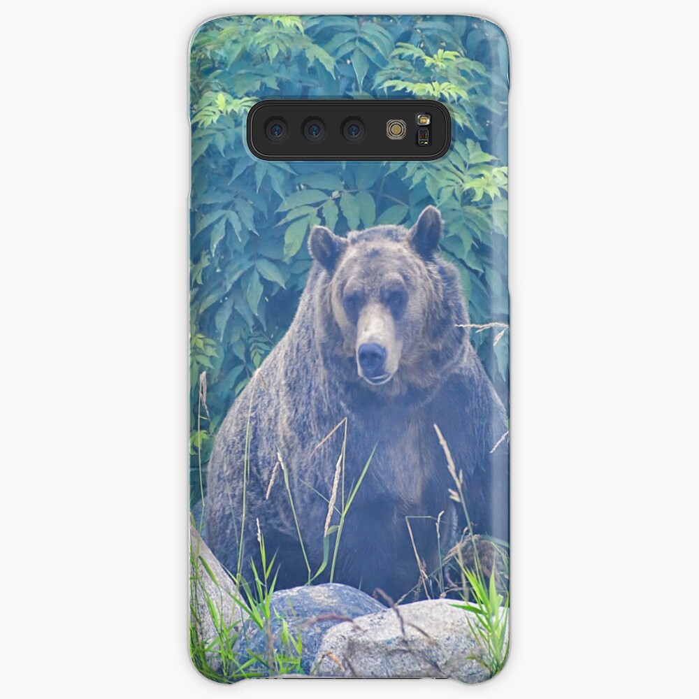 Grizzly in the Mist Case & Skin for Samsung Galaxy