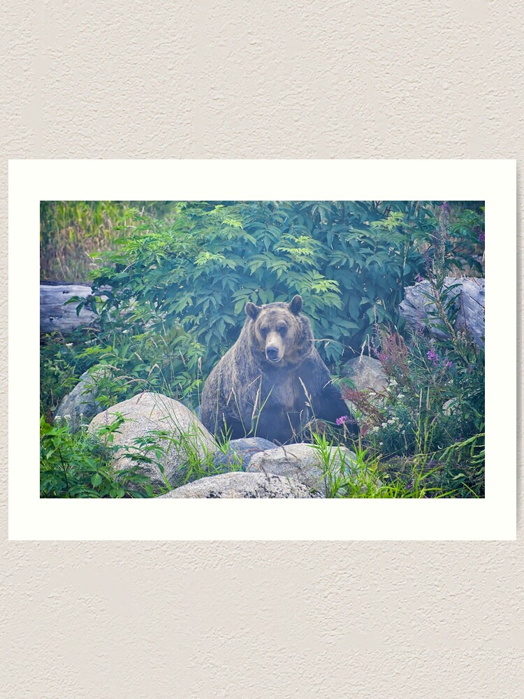Alternate view of Grizzly in the Mist Art Print