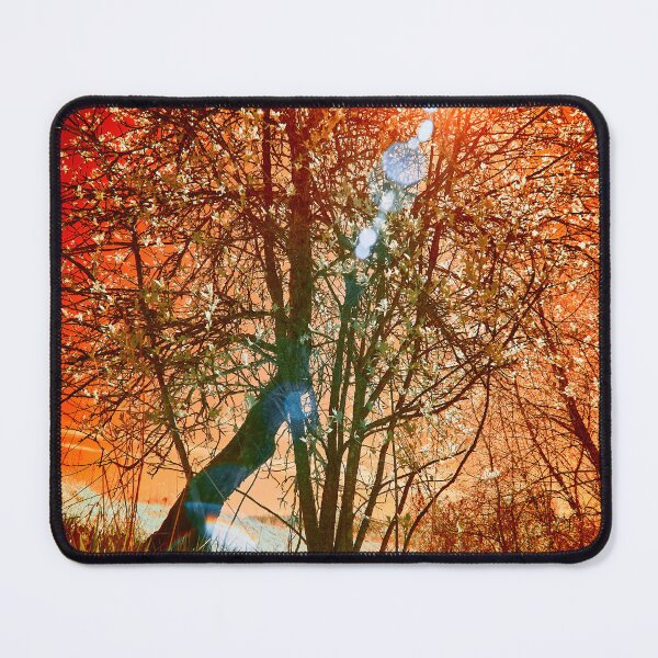 Item preview, The burning world. Infrared photography designed and sold by Jouko Lehto Photography.