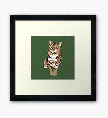 Gingerbread Framed Print