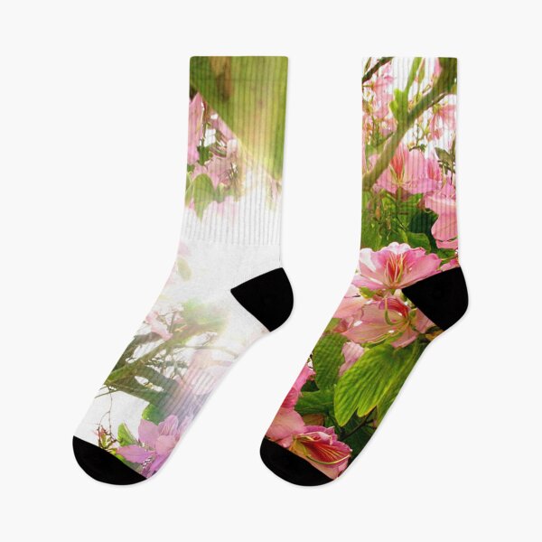Item preview, Close up cherry blossom or pink sakura flower with sunbeam designed and sold by Rostislav Bouda.