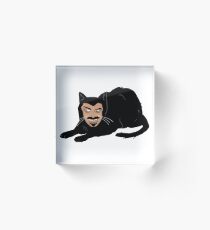 Bloque acrílico Vlad el gato (gris)