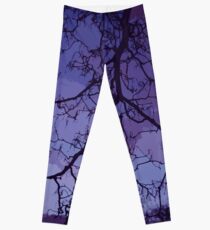 Bare Branches At Dusk Leggings