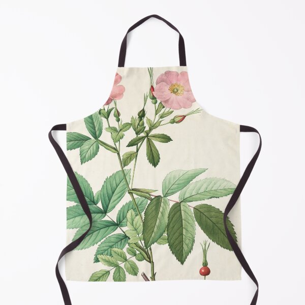 Item preview, Rosa Alpina Laevis; Rosier a feuilles de frene designed and sold by linggalibrary.