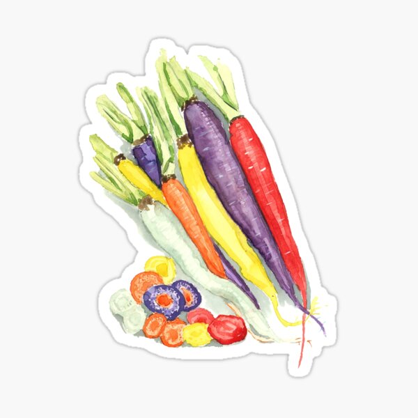 Rainbow Heirloom Carrots Sticker