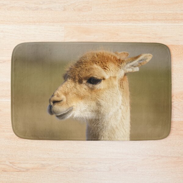 Item preview, Vicuna Close-Up designed and sold by rawshutterbug.