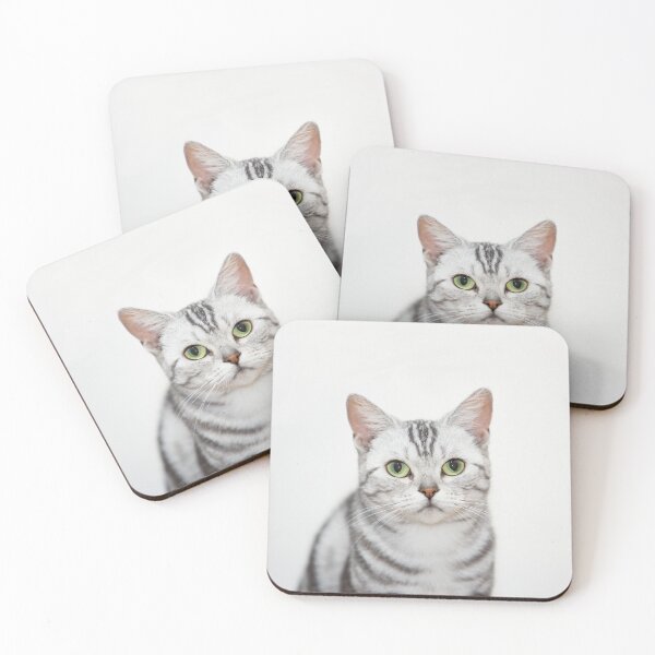 Item preview, Grey Cat Mesmerizing Green Eyes designed and sold by GraphismCats.