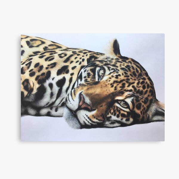 Lienzos: Jaguar | Redbubble Lienzos: Jaguar | Redbubble