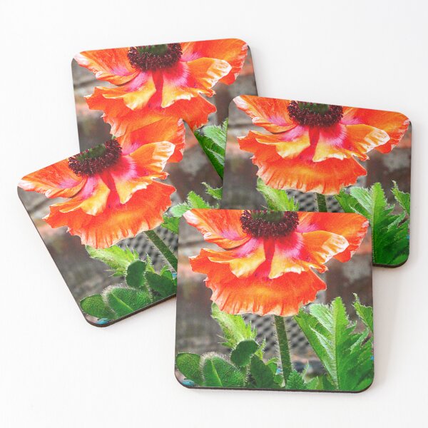Item preview, Oriental Poppy designed and sold by angel1.