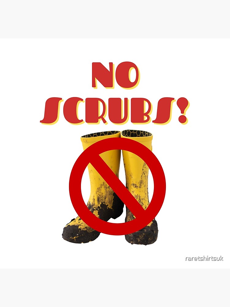 "No Scrubs! Muddy Wellies (TLC) Funny Wordplay Festival Glastonbury