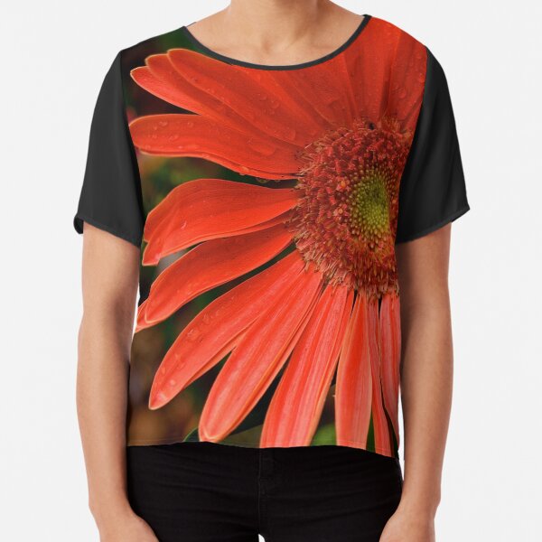 Chiffon Top