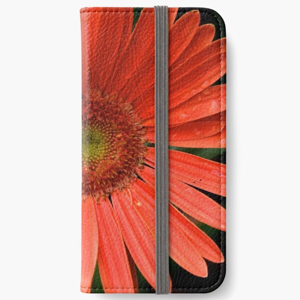 Gerbera Daisy iPhone Wallet