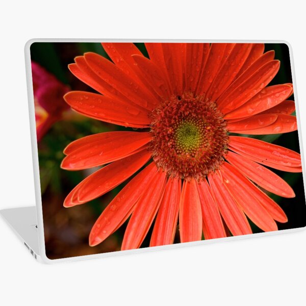 Macbook Air 13" (2015)