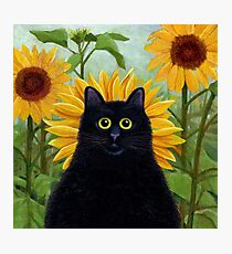 Dan de Lion with Sunflowers Photographic Print