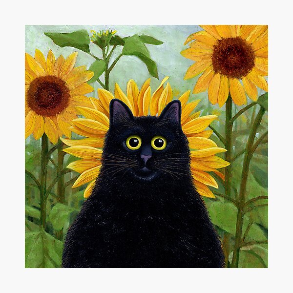Dan de Lion with Sunflowers Photographic Print