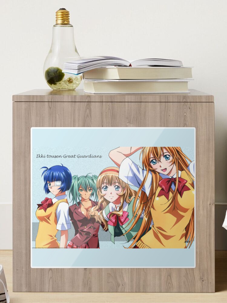 All Times of Shin Ikki tousen Anime Art Board Print for Sale by