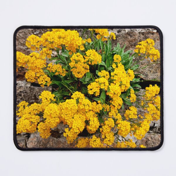 Item preview, Beauty designed and sold by Dreammkd.
