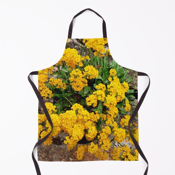 Item preview, Beauty designed and sold by Dreammkd.