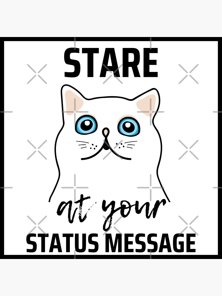 "White And Fluffy Cat Why Do Cats Stare At You Funny " Sticker by