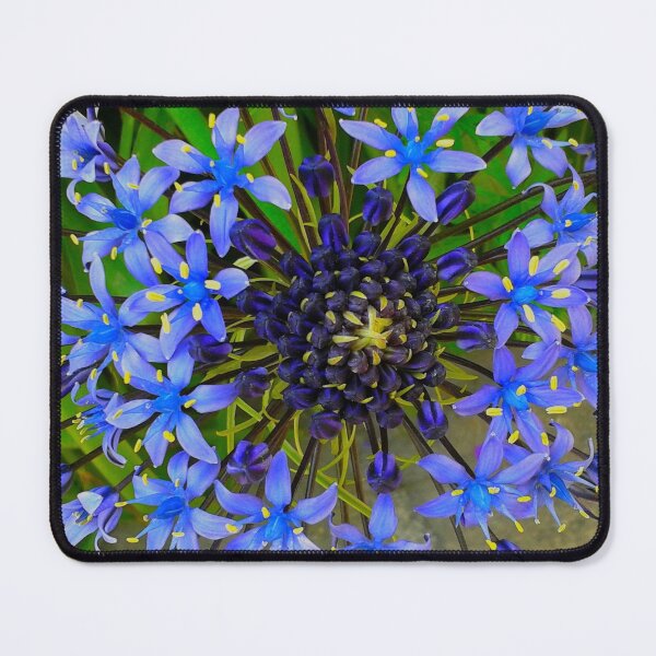 Item preview, Blue flower designed and sold by Frogmuse.