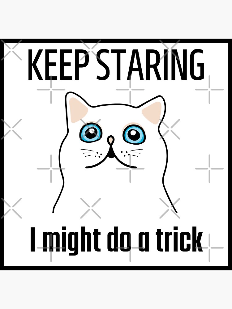 "White And Fluffy Cat Why Do Cats Stare At You Funny " Sticker by