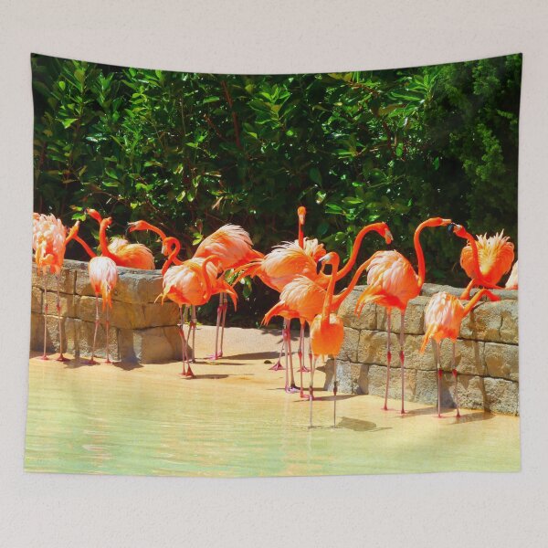 Aperçu de l'œuvre Flamants roses créée et vendue par DomGDesign.