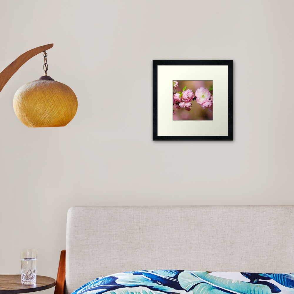 Pretty in pink Framed Art Print