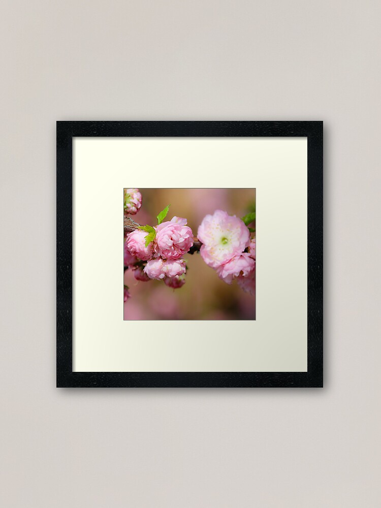 Alternate view of Pretty in pink Framed Art Print