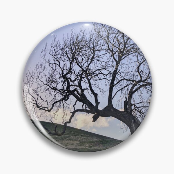 Item preview, Sunset by the Frandy Tree designed and sold by ShinyPhoto.
