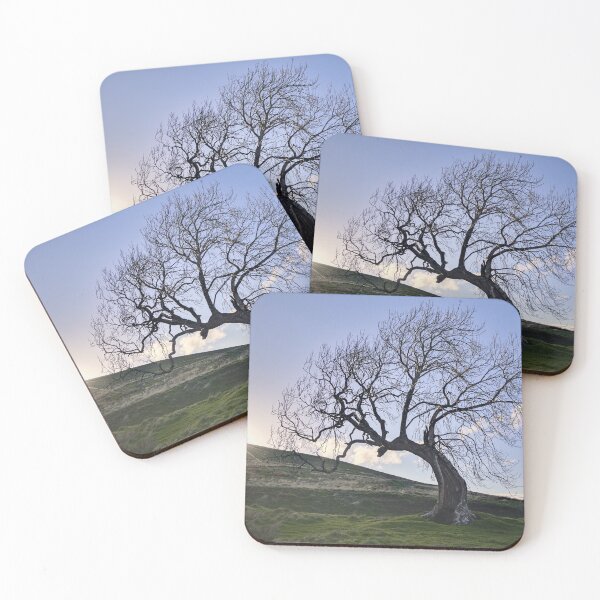 Item preview, Sunset by the Frandy Tree designed and sold by ShinyPhoto.