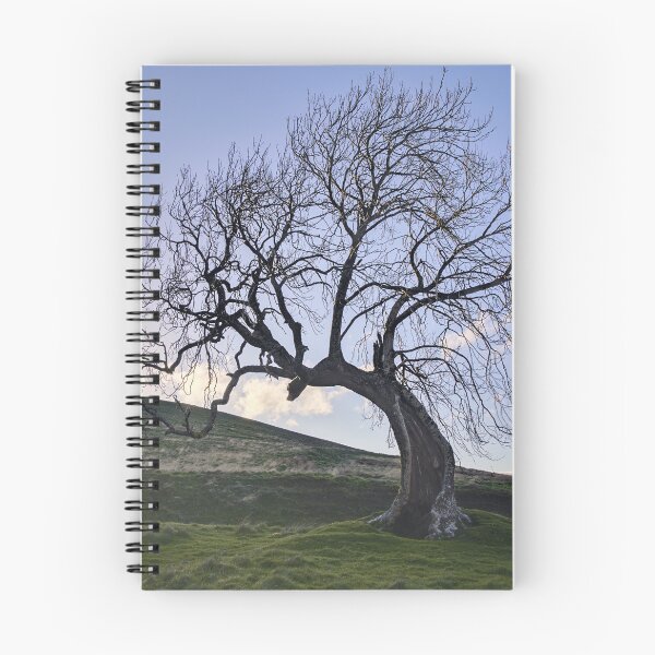 Item preview, Sunset by the Frandy Tree designed and sold by ShinyPhoto.
